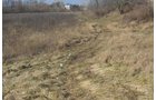 Property photo 13 - East Allen County Land Auction - 40 Acres in 2 Tracts